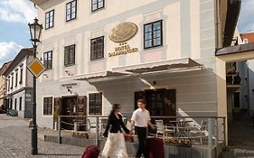 Hotel Salamander - Garni